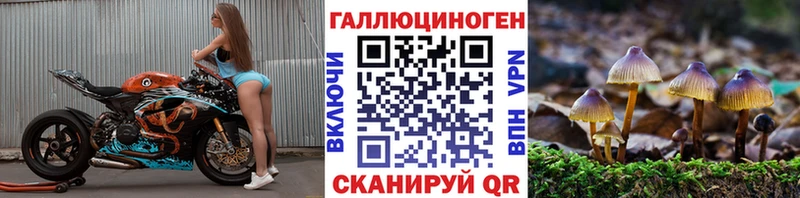 hydra ССЫЛКА  Владикавказ  Псилоцибиновые грибы ЛСД  наркота 